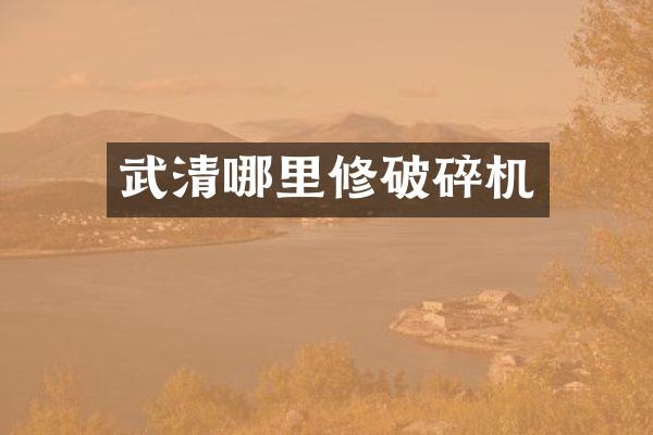 武清哪里修破碎機