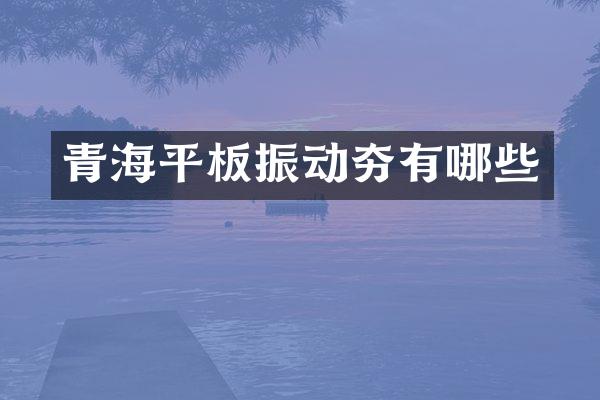 青海平板振動(dòng)夯有哪些