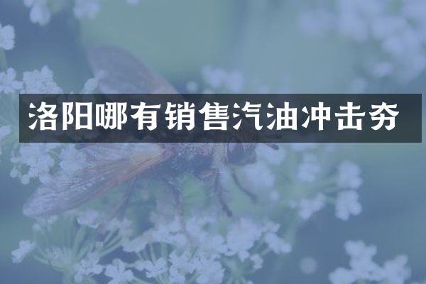 洛陽哪有銷售汽油沖擊夯