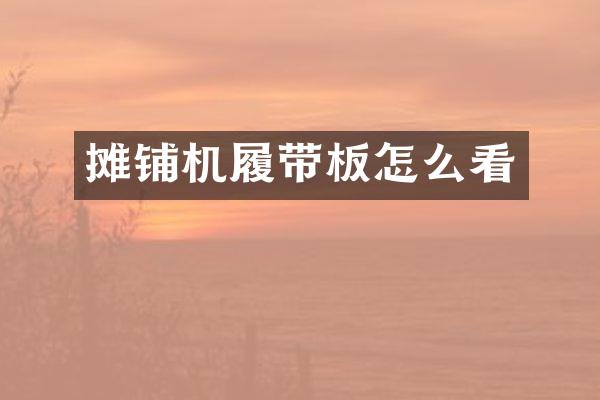 攤鋪機履帶板怎么看