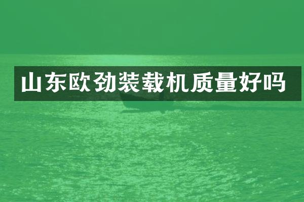 山東歐勁裝載機(jī)質(zhì)量好嗎