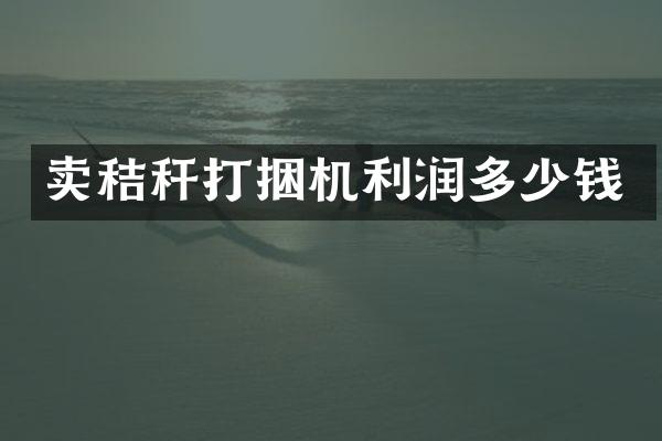 賣秸稈打捆機利潤多少錢