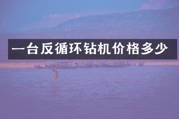 一臺(tái)反循環(huán)鉆機(jī)價(jià)格多少