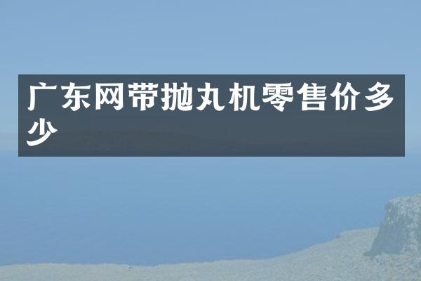 廣東網(wǎng)帶拋丸機(jī)零售價多少