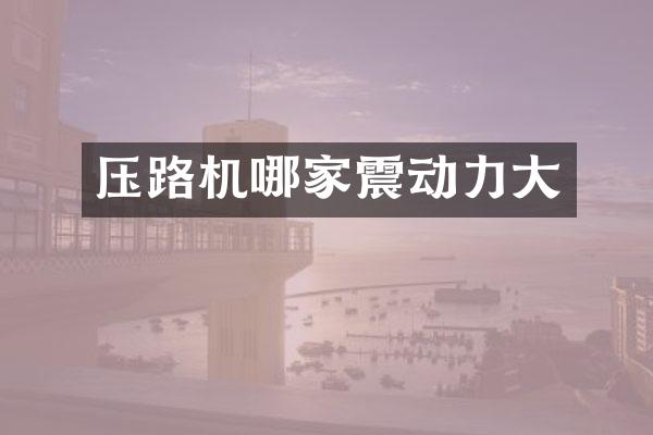 壓路機(jī)哪家震動力大