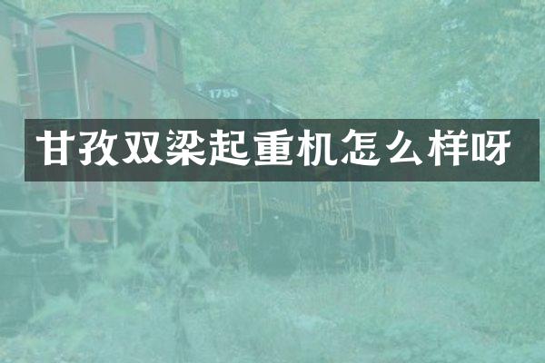 甘孜雙梁起重機(jī)怎么樣呀