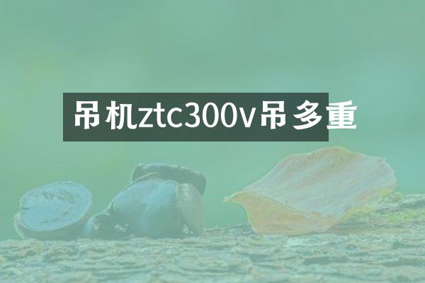 吊機(jī)ztc300v吊多重