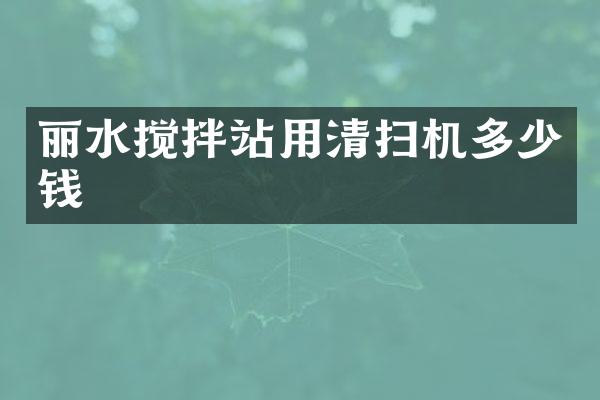 麗水攪拌站用清掃機多少錢