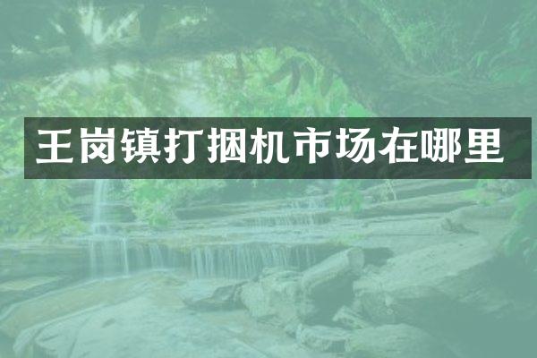 王崗鎮(zhèn)打捆機(jī)市場(chǎng)在哪里