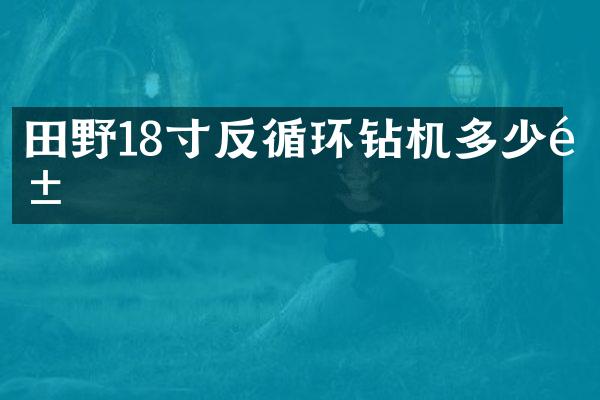 田野18寸反循環(huán)鉆機(jī)多少錢