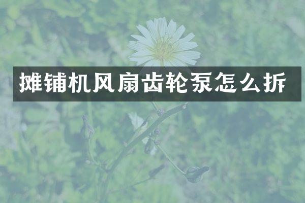 攤鋪機(jī)風(fēng)扇齒輪泵怎么拆