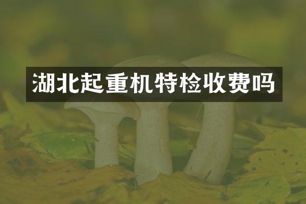 湖北起重機(jī)特檢收費(fèi)嗎