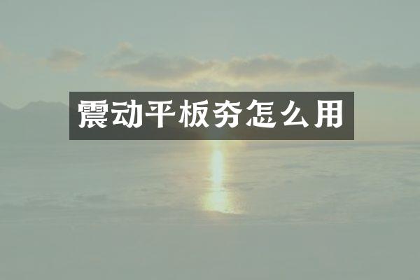 震動(dòng)平板夯怎么用