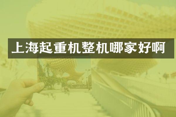 上海起重機整機哪家好啊