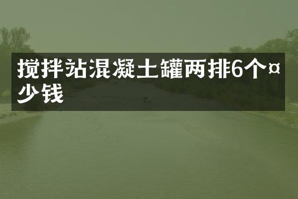 攪拌站混凝土罐兩排6個多少錢