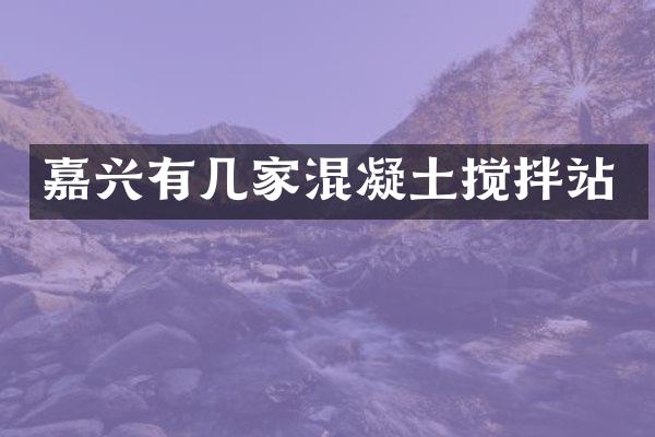 嘉興有幾家混凝土攪拌站