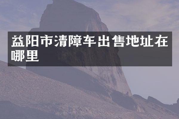 益陽市清障車出售地址在哪里