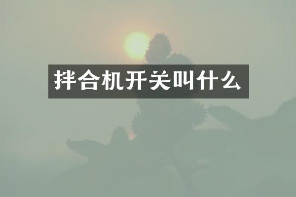 拌合機(jī)開關(guān)叫什么