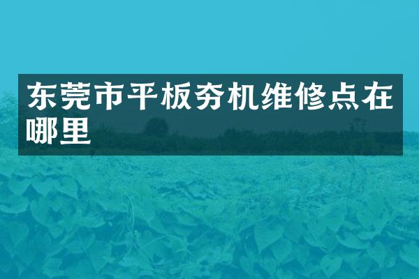 東莞市平板夯機(jī)維修點(diǎn)在哪里