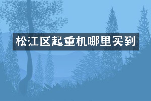 松江區(qū)起重機哪里買到