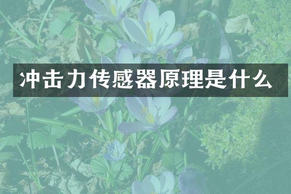 沖擊力傳感器原理是什么