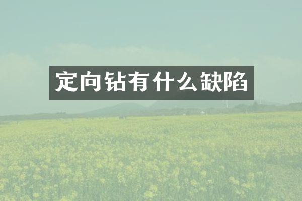 定向鉆有什么缺陷