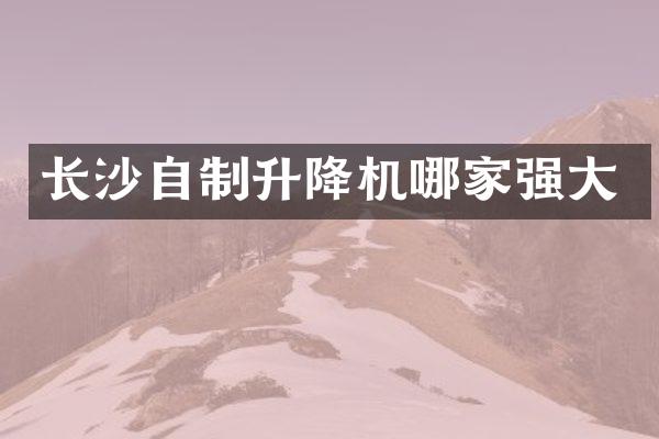 长沙自制升降机哪家强大