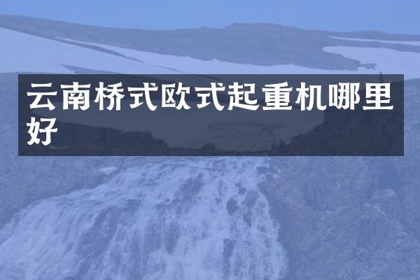 云南桥式欧式起重机哪里好
