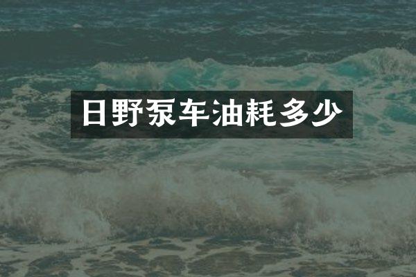 日野泵車油耗多少