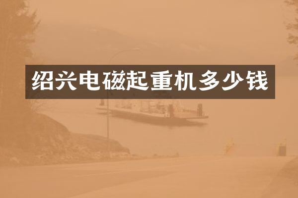 紹興電磁起重機多少錢