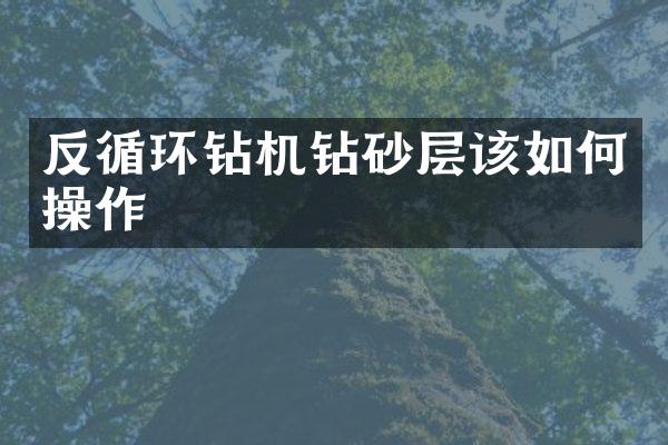 反循環(huán)鉆機鉆砂層該如作