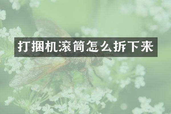 打捆機(jī)滾筒怎么拆下來