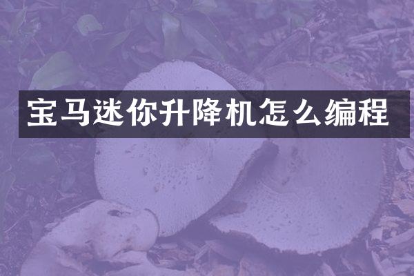 寶馬迷你升降機(jī)怎么編程