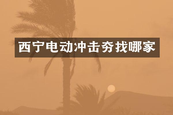 西寧電動(dòng)沖擊夯找哪家