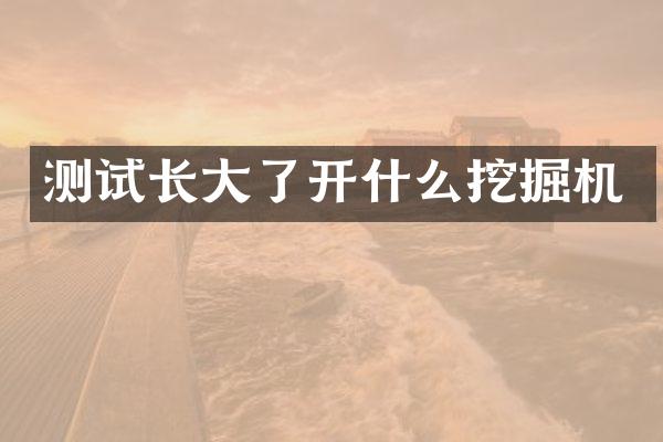 測(cè)試長(zhǎng)大了開什么挖掘機(jī)