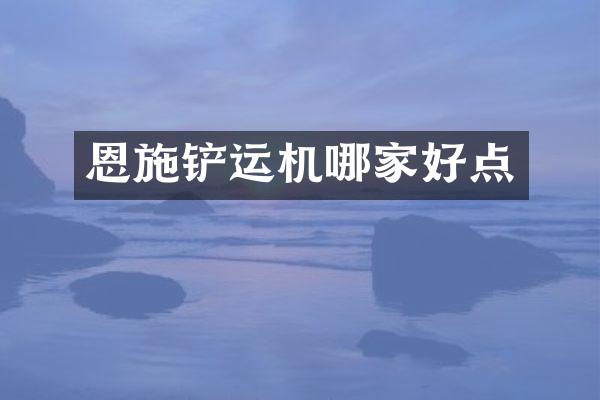 恩施鏟運機哪家好點