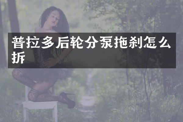 普拉多后輪分泵拖剎怎么拆