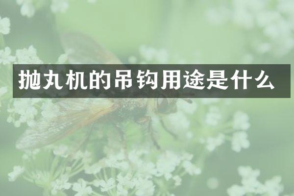 拋丸機的吊鉤用途是什么