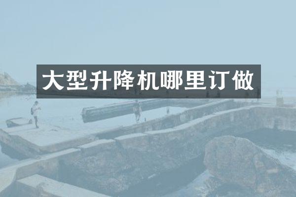 大型升降機(jī)哪里訂做