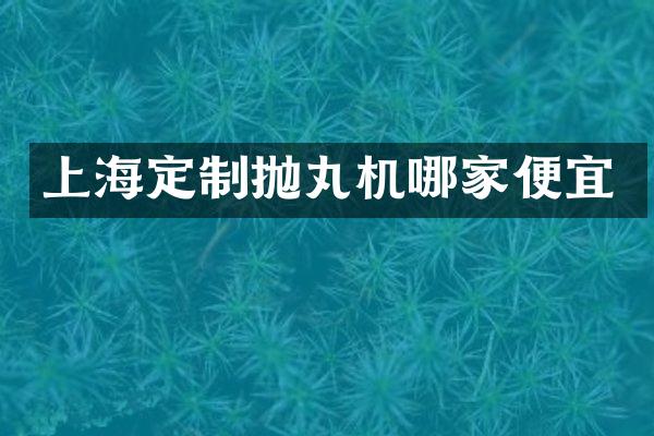 上海定制拋丸機哪家便宜