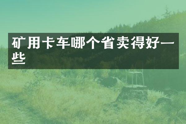 礦用卡車哪個省賣得好一些