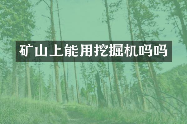 礦山上能用挖掘機嗎嗎