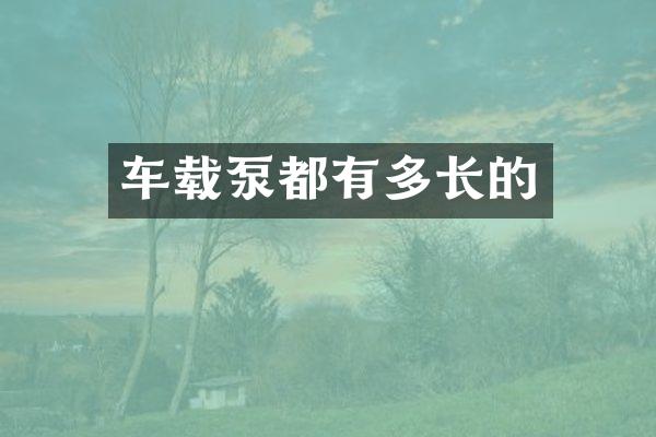 車載泵都有多長(zhǎng)的