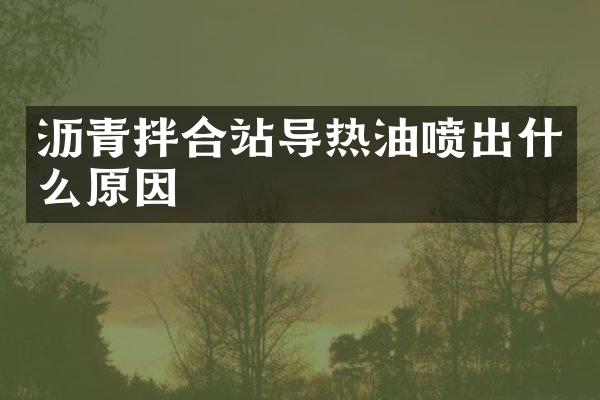 瀝青拌合站導(dǎo)熱油噴出什么原因