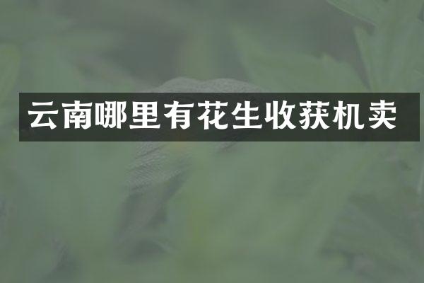 云南哪里有花生收獲機賣