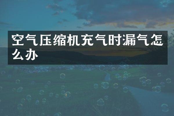 空氣壓縮機(jī)充氣時(shí)漏氣怎么辦