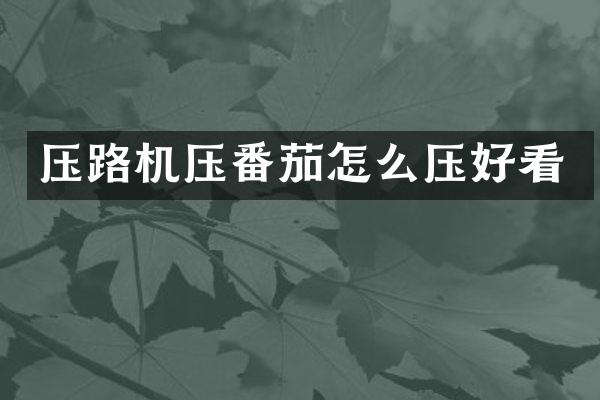 壓路機壓番茄怎么壓好看