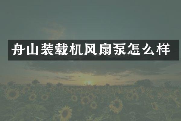 舟山裝載機風(fēng)扇泵怎么樣