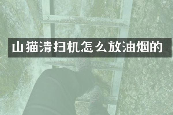 山貓清掃機怎么放油煙的