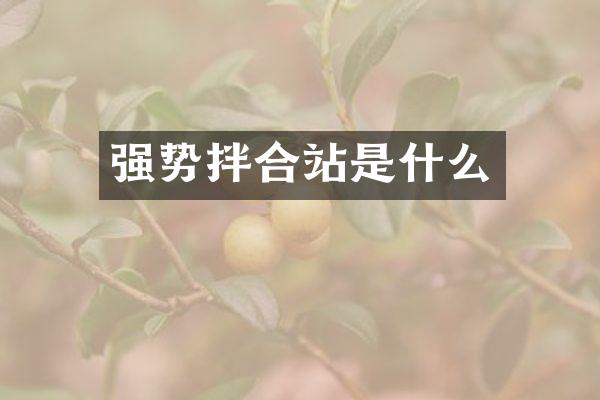 強(qiáng)勢拌合站是什么